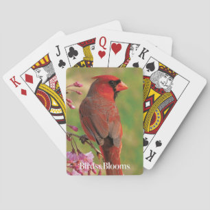 Jeu De Cartes Cardinal du nord 2