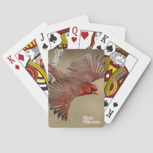 Jeu De Cartes Cardinal du nord en vol
