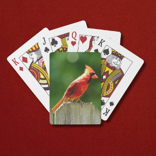 Jeu De Cartes Cardinal du Nord sur la clôture en été