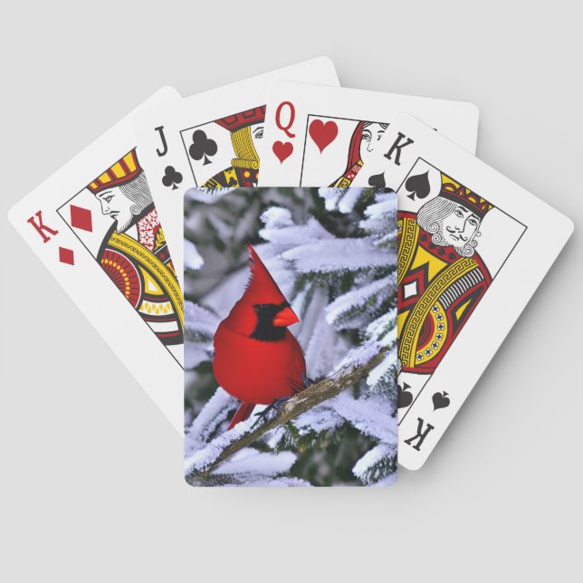 Jeu De Cartes Cardinal rouge d'hiver (dos)