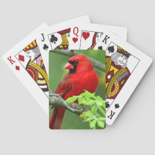 Jeu De Cartes Cardinaux du nord