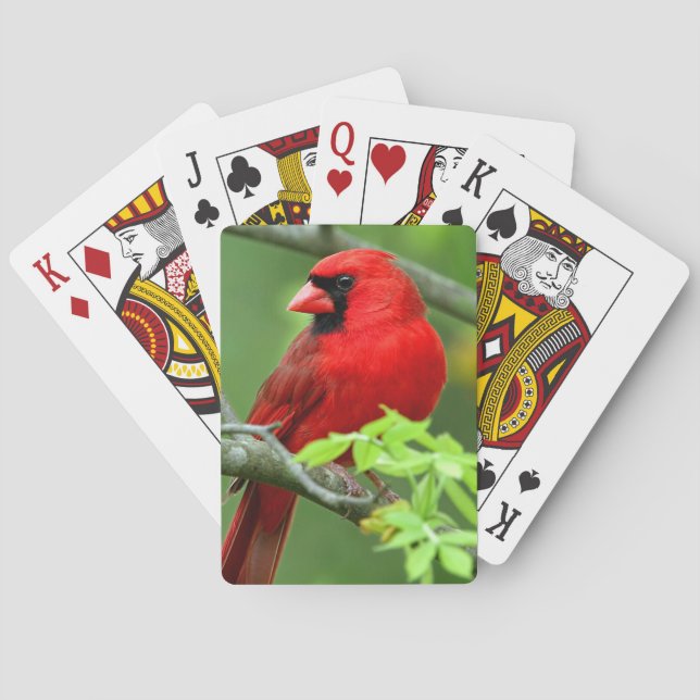 Jeu De Cartes Cardinaux du nord (dos)