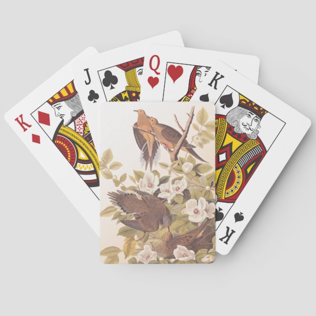 Jeu De Cartes Carolina Pigeon ou Dove en deuil (dos)