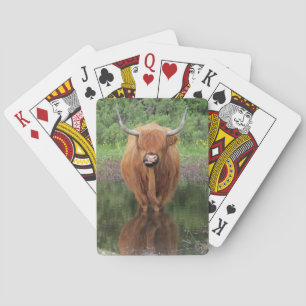 Jeu De Cartes Carte à jouer à la vache Highland