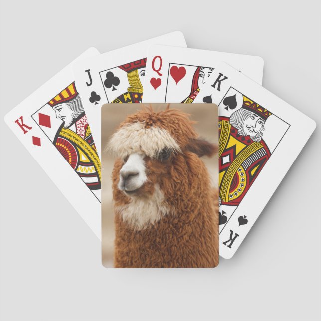 Jeu De Cartes Carte à jouer Alpaca (dos)