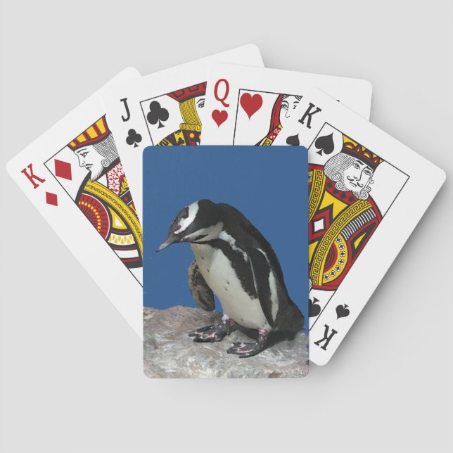 Jeu De Cartes Carte de jeu de pingouins africains (dos)
