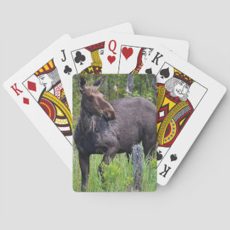 Jeu De Cartes Carte de jeu d'orignal