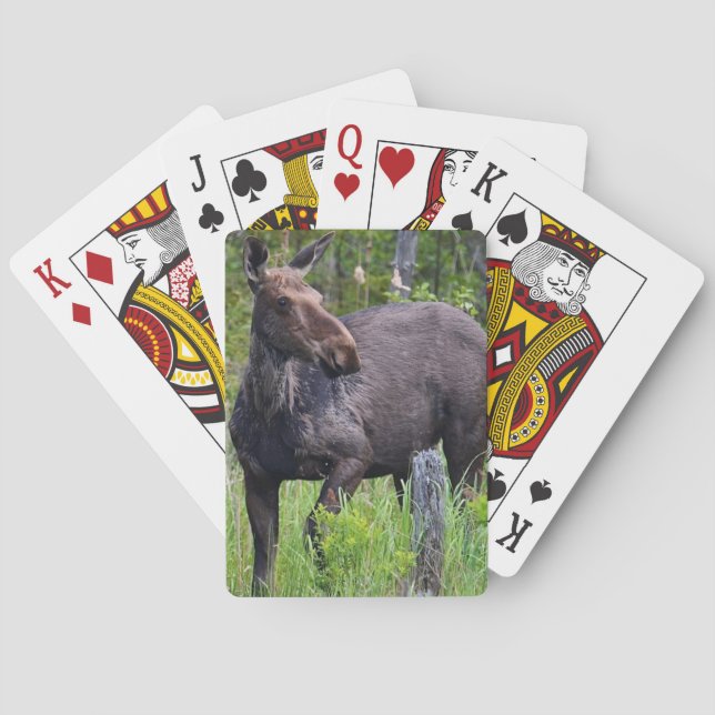 Jeu De Cartes Carte de jeu d'orignal (dos)