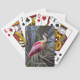 Jeu De Cartes Carte de lecture de Spoonbill Roseate