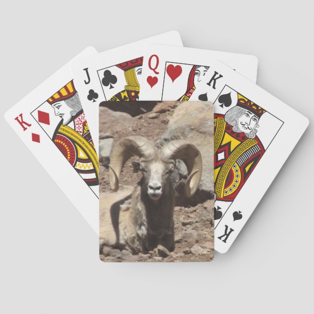 Jeu De Cartes Cartes (dos)