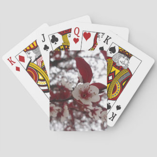 Jeu De Cartes Cartes de beauté Crimson