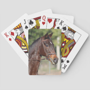 Jeu De Cartes Cartes de cheval