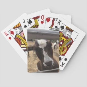 Jeu De Cartes Cartes de chèvre