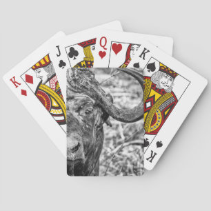 Jeu De Cartes Cartes de jeu africaines de portrait de Buffalo de