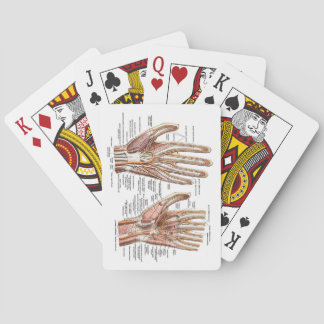 Jeu De Cartes Cartes de jeu anatomiques