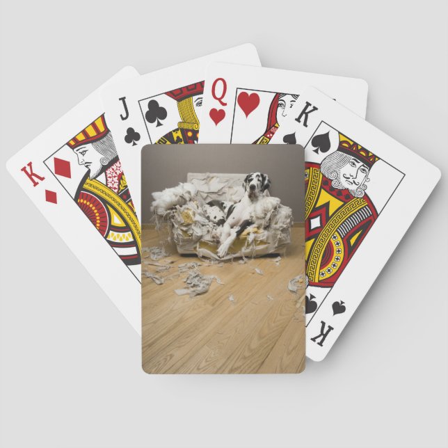 Jeu De Cartes Cartes De Jeu Dane (dos)