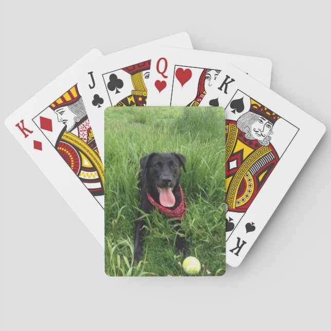 Jeu De Cartes Cartes de jeu de Bicycle® d'instant de Zazzle (dos)