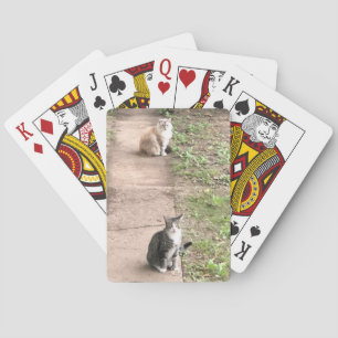 Jeu De Cartes Cartes de jeu de chats