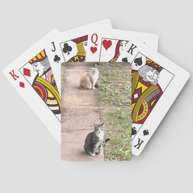Jeu De Cartes Cartes de jeu de chats (dos)