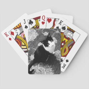 Jeu De Cartes Cartes de jeu de chats
