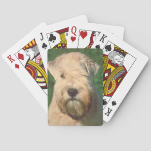 Jeu De Cartes Cartes de jeu de chien de Terrier roux à revêtemen