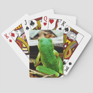 Jeu De Cartes Cartes De Jeu De Cube Frog