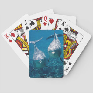 Jeu De Cartes Cartes de jeu de dauphin