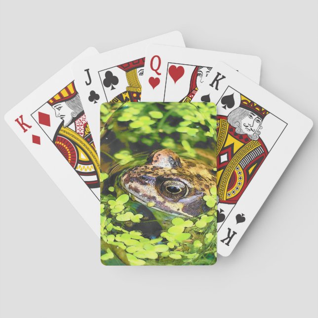 JEU DE CARTES CARTES DE JEU DE FROG (dos)