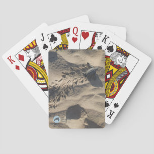 Jeu De Cartes Cartes de jeu de Hatchling