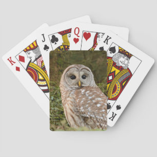 Jeu De Cartes Cartes de jeu de hibou barré