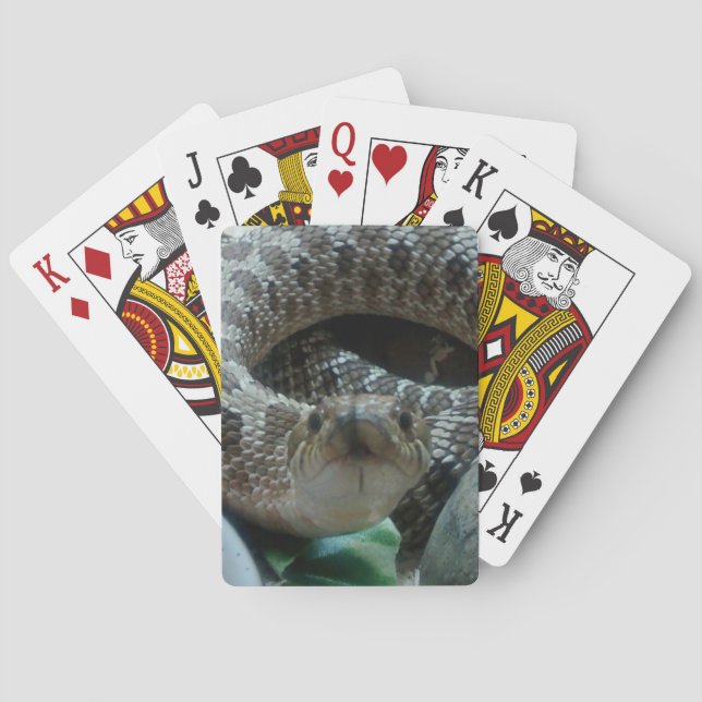 Jeu De Cartes Cartes de jeu de Hognose (dos)