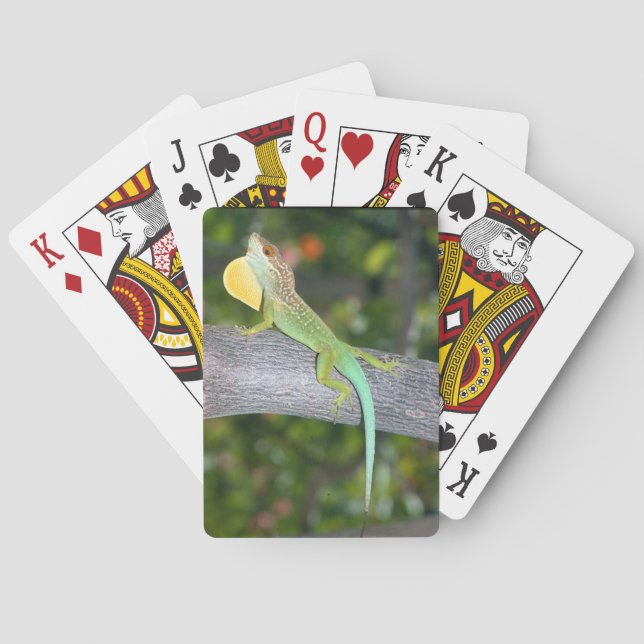 Jeu De Cartes Cartes de jeu de lividus d'Anolis (dos)