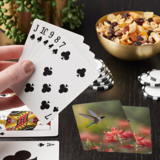 Jeu De Cartes Cartes De Jeu De Luxe Aviaire Enchantées