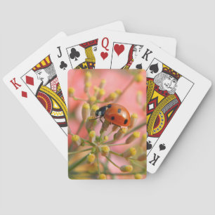 Jeu De Cartes Cartes de jeu de Madame Bug