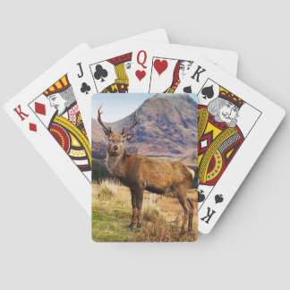 Jeu De Cartes Cartes de jeu de mâle