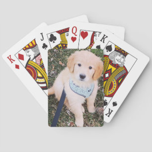 Jeu De Cartes Cartes de jeu de marionnettes Golden Retriever