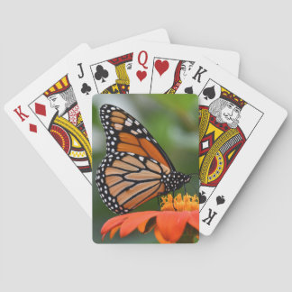 Jeu De Cartes Cartes de jeu de papillon de monarque