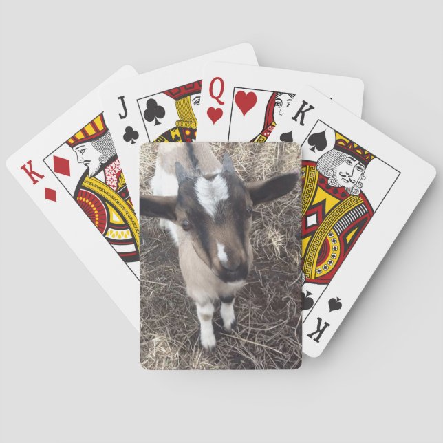 Jeu De Cartes Cartes de jeu de photo de chèvre (dos)