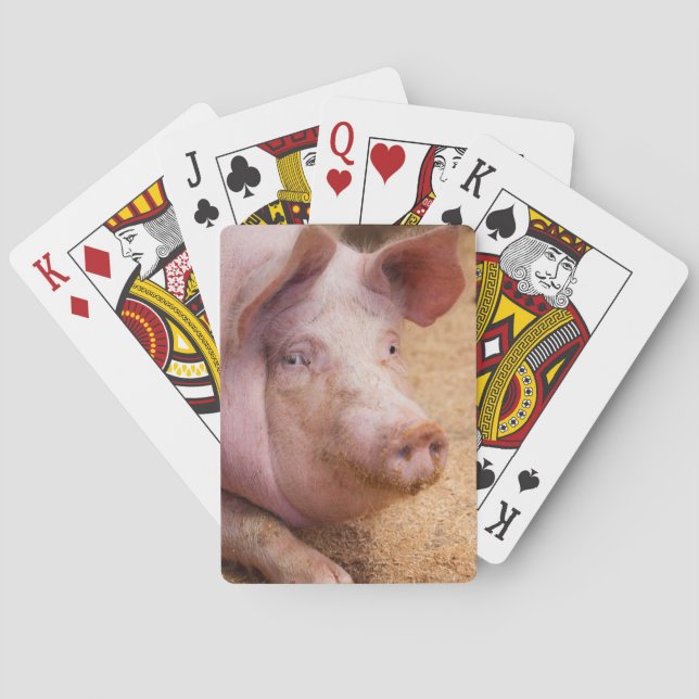Jeu De Cartes Cartes de jeu de porc (dos)