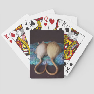 Jeu De Cartes Cartes de jeu de rat