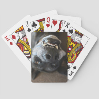Jeu De Cartes Cartes de jeu de Teef du gauchiste