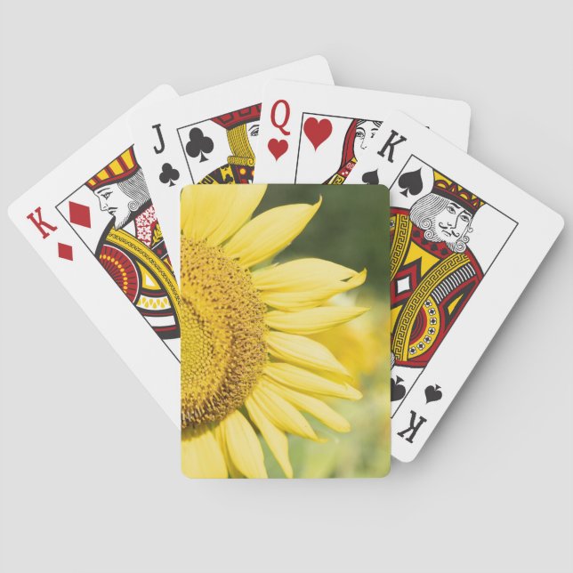 Jeu De Cartes Cartes De Jeu De Tournesol (dos)