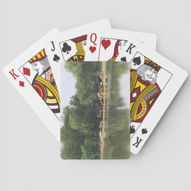 Jeu De Cartes Cartes De Jeu De Vache (dos)