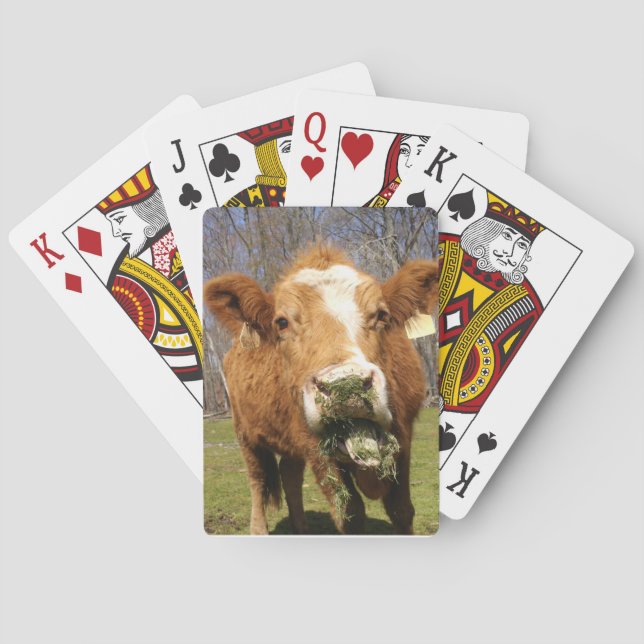 Jeu De Cartes Cartes De Jeu De Vache (dos)