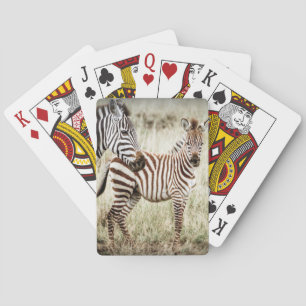 Jeu De Cartes Cartes de jeu de zèbre et de bébé