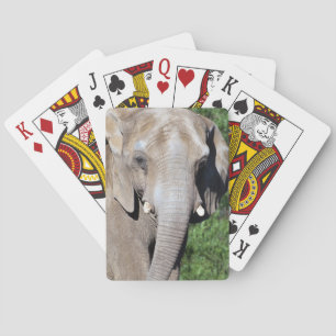 Jeu De Cartes Cartes de jeu d'éléphant