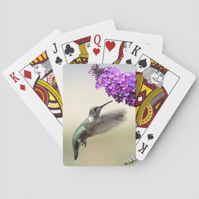 Jeu De Cartes Cartes de jeu des colibris (dos)