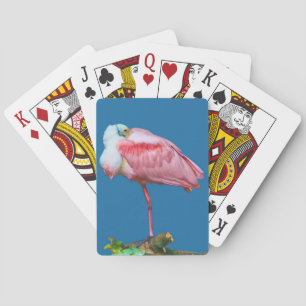 Jeu De Cartes Cartes de jeu d'oiseaux de Spoonbill Roseate