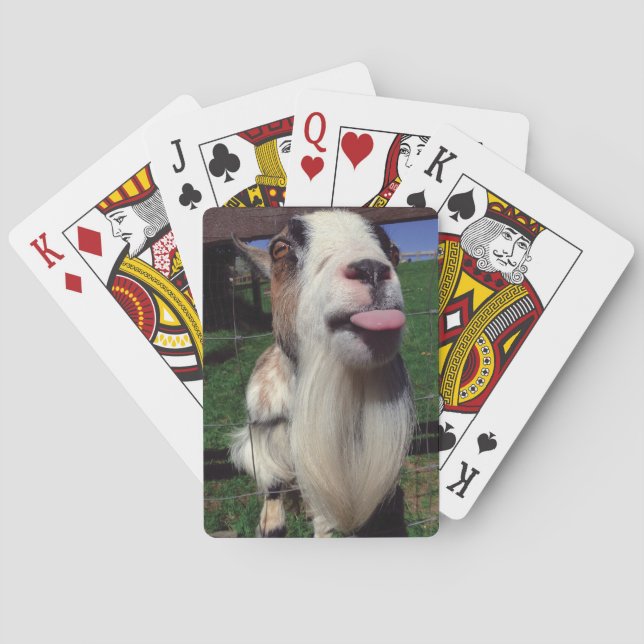 Jeu De Cartes Cartes de jeu effrontées de chèvre (dos)