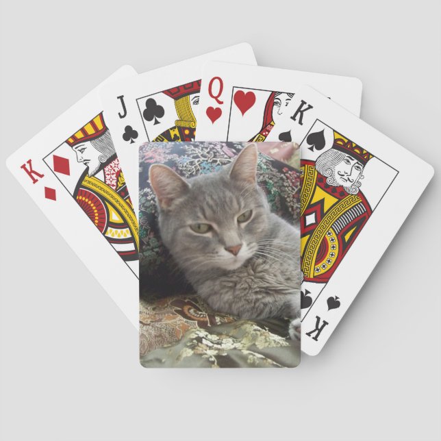 Jeu De Cartes Cartes de jeu grises de chat de caresses (dos)